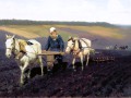 thumbnail Ploughman (Tolstoy)