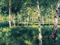 thumbnail Birch Grove