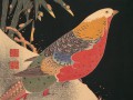 thumbnail Golden Pheasant in the Snow