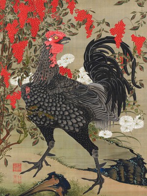 puzzle model Nandina et Rooster
