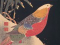 thumbnail Golden Pheasant in the Snow