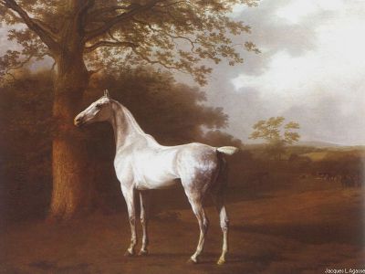puzzle model White Horse In Pasture