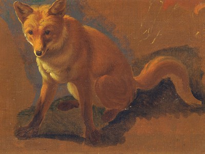 puzzle model Etude de renard