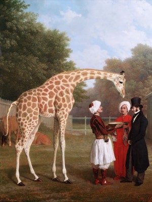 puzzle model Nubian Giraffe (menagerie in Windsor)