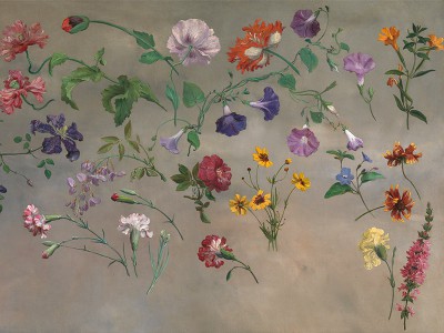 puzzle model Studies of Flowers