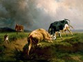 thumbnail A Bull Fight