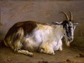 thumbnail Lying Goat