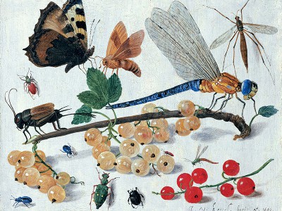 puzzle model Insects and Gooseberries