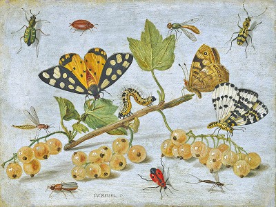 puzzle model Caterpillars and Butterflies with Gooseberries