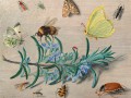 thumbnail Insectes et brin de romarin