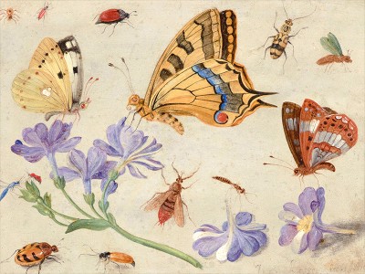 puzzle model Butterflies, Other Insects, and Flowers