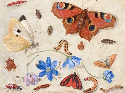 puzzle model Butterflies, Caterpillars, Other Insects, and Flowers