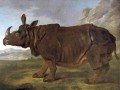 thumbnail Clara the Rhinoceros in Paris in 1749
