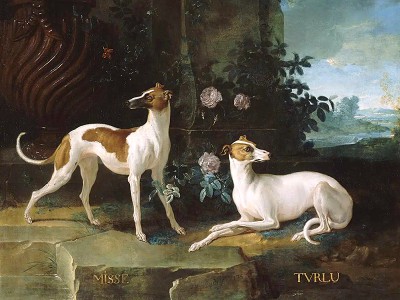puzzle model Misse et Turlu