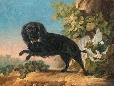 puzzle model Mimi, the Favorite Dog of Madame De Pompadour