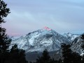thumbnail Pink Summit