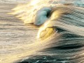 thumbnail Golden waves