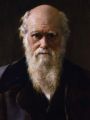 thumbnail Charles Robert Darwin