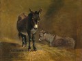 thumbnail Two Donkeys
