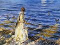 thumbnail Girl Fishing at San Vigilio