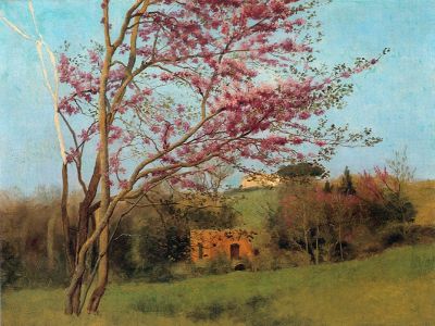 puzzle model Landscape : Blossoming Red Almond
