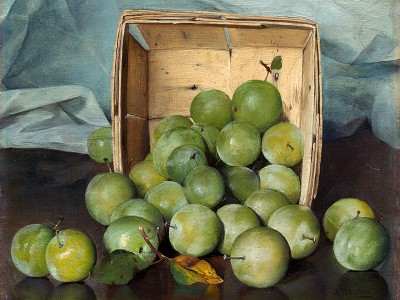puzzle model Green Plums