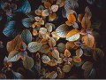 thumbnail Autumn leaves