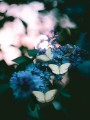 thumbnail White butterflies