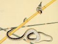 thumbnail Snake and Bird
