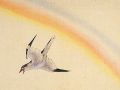 thumbnail Small Kuckuck