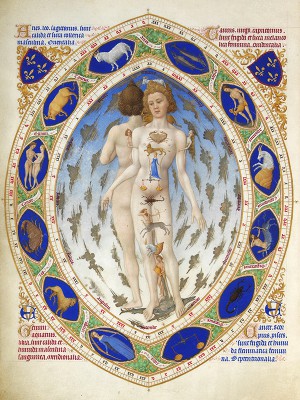 puzzle model Anatomical Man