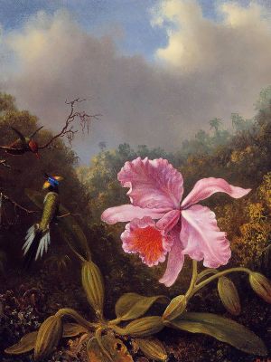 puzzle model Orchids And Hummingbirds