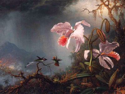 puzzle model Fighting Humming Birds With Pink Orchid