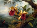 thumbnail Yellow Orchid And Hummingbirds