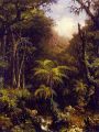 thumbnail Brazilian Forest