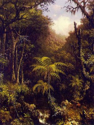 puzzle model Brazilian Forest