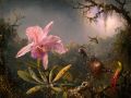 thumbnail Cattleya Orchid And Three Brazilian Hummingbirds
