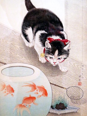 puzzle model Cat and Goldfish Bowl