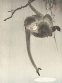thumbnail The Monkey Trying to Catch the Reflection of the Moon