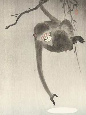 puzzle model The Monkey Trying to Catch the Reflection of the Moon