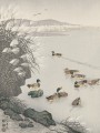 thumbnail Ducks in the Water