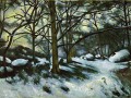 thumbnail Melting snow, Fontainebleau