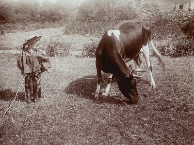 puzzle model Gardien de vache (Bretagne)