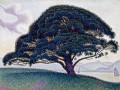 thumbnail The Bonaventure Pine