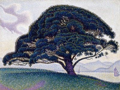 puzzle model The Bonaventure Pine