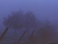 thumbnail Fog