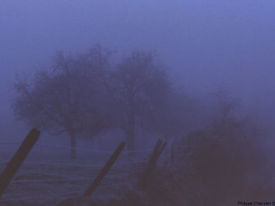 puzzle model Fog