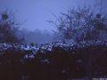 thumbnail Winter