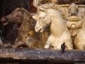 thumbnail Horses