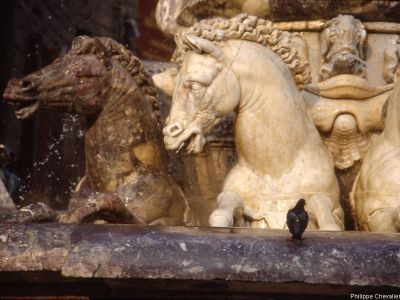 puzzle model Horses